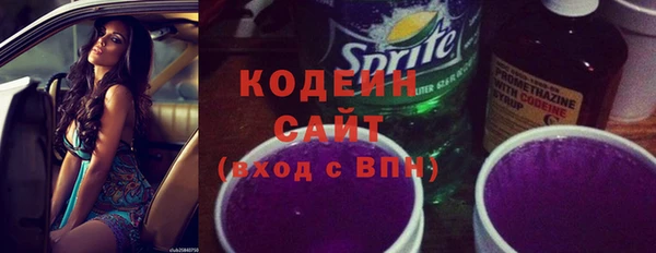 хмурый Козловка
