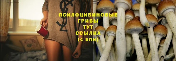 хмурый Козловка
