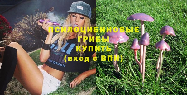 хмурый Козловка