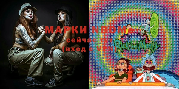 хмурый Козловка