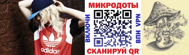 Купить Гороховец Псилоцибиновые грибы Psilocybine cubensis